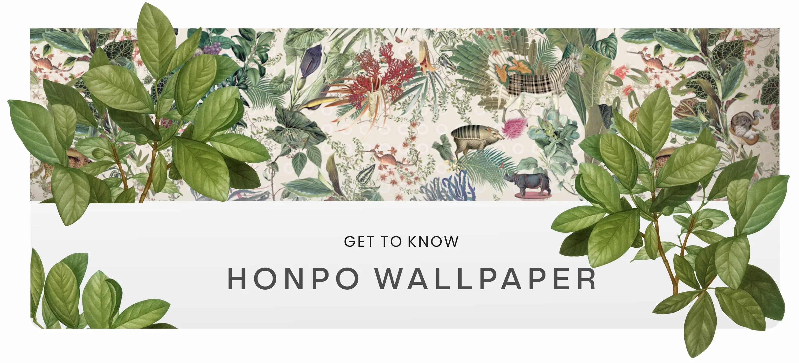 Honpo wallpaper Collection